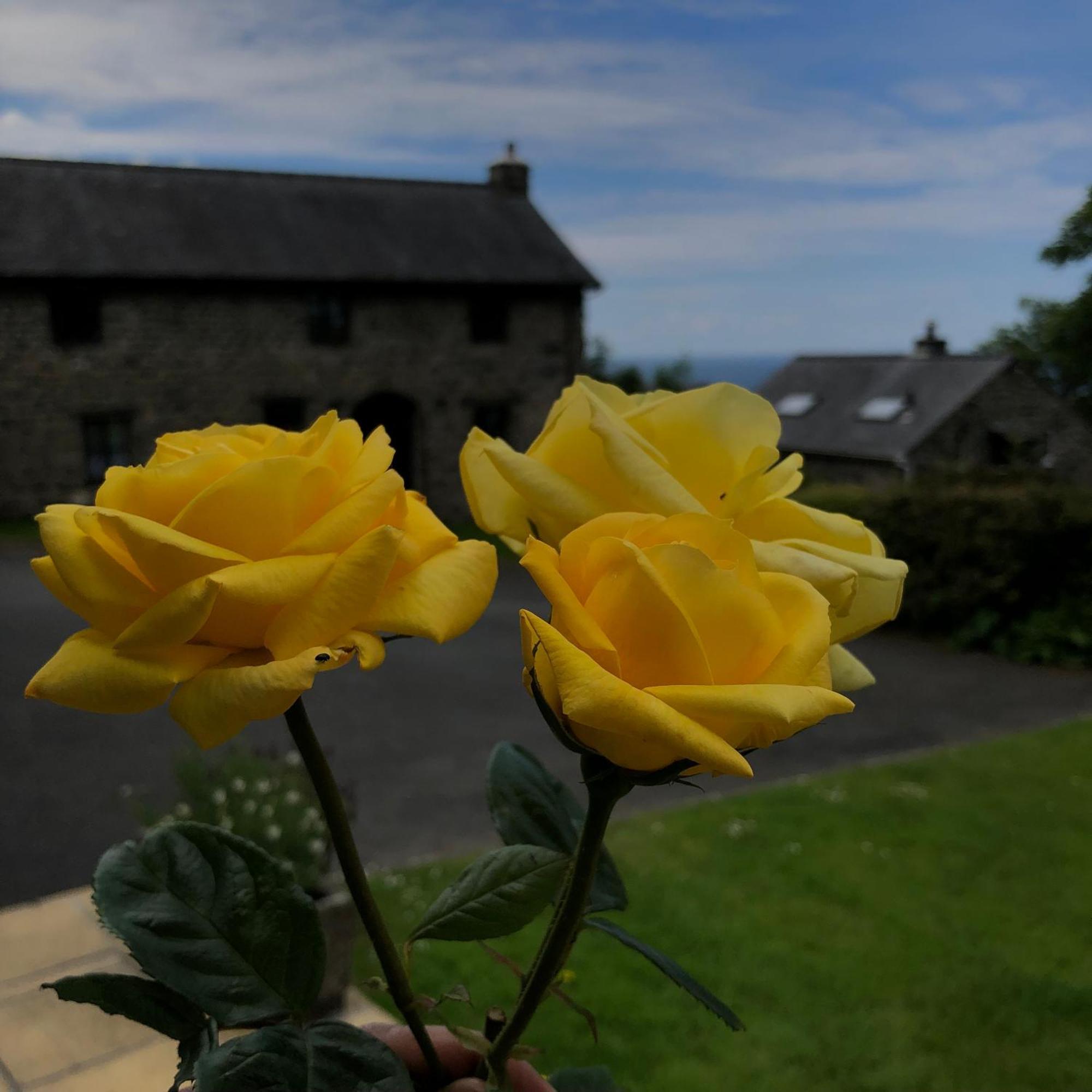 The Old Farmhouse B&B Dyffryn Ardudwy エクステリア 写真