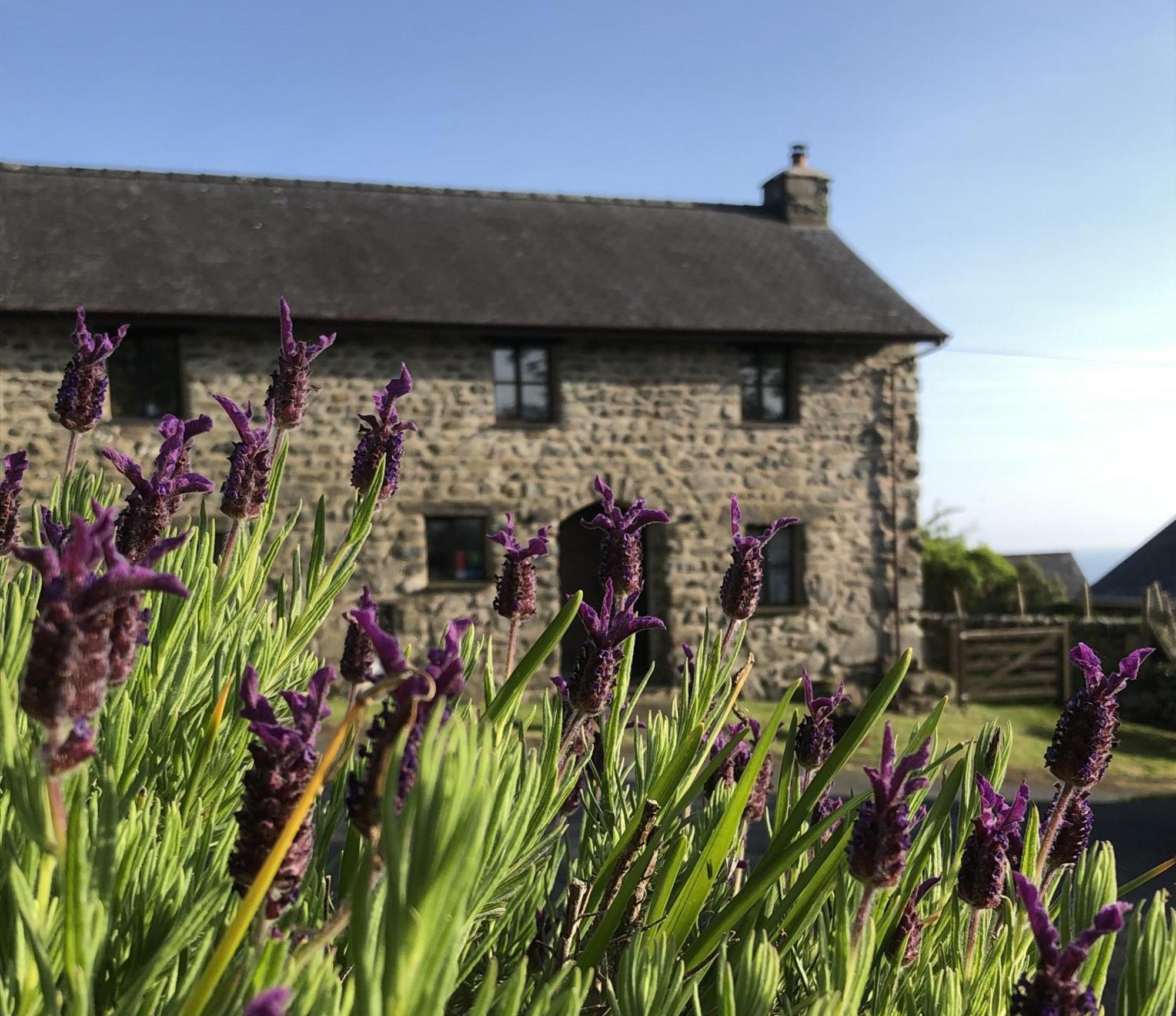 The Old Farmhouse B&B Dyffryn Ardudwy エクステリア 写真
