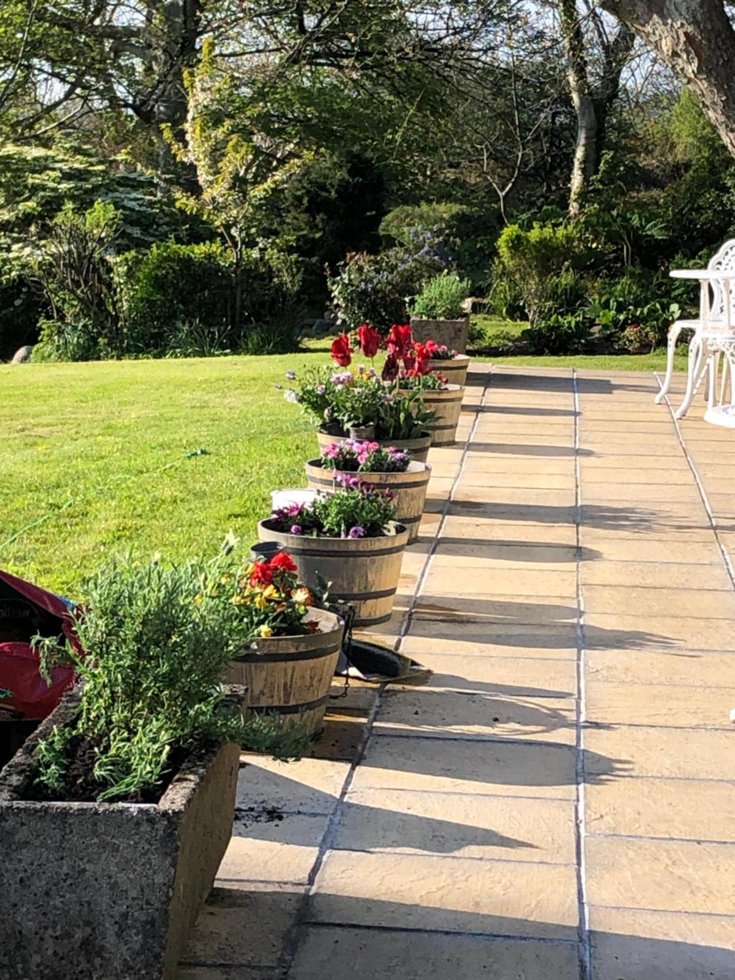 The Old Farmhouse B&B Dyffryn Ardudwy エクステリア 写真